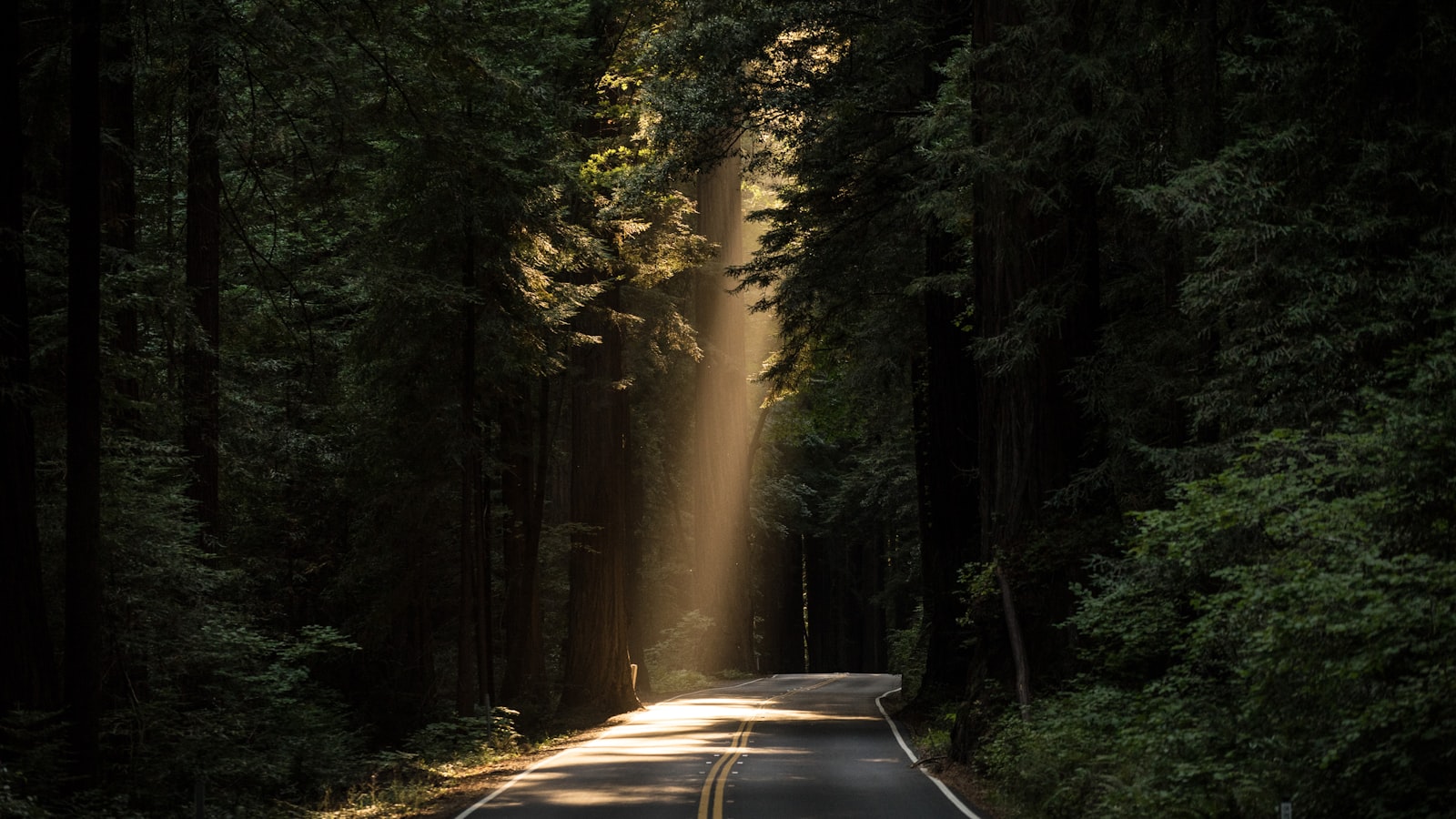 Directions to the Nearest DMV: What to Check Before You Drive hero image